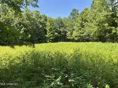 Hwy 442, Schlater, MS 38952 photo 9