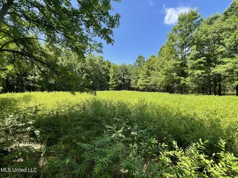 Hwy 442, Schlater, MS 38952 photo 8