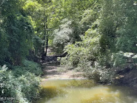 Hwy 442, Schlater, MS 38952 photo 25
