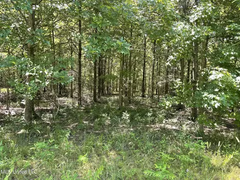 Hwy 442, Schlater, MS 38952 photo 12
