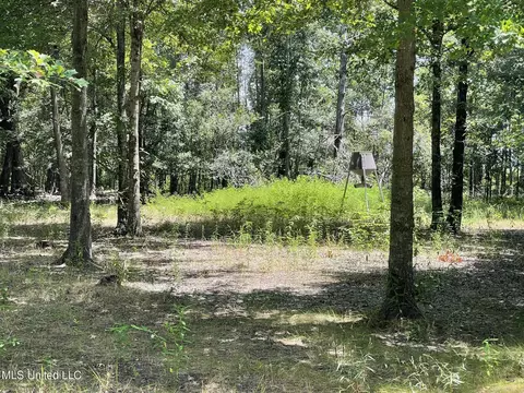 Hwy 442, Schlater, MS 38952 photo 21