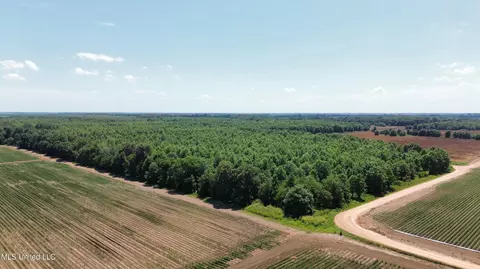 Hwy 442, Schlater, MS 38952 photo 5