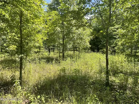 Hwy 442, Schlater, MS 38952 photo 17