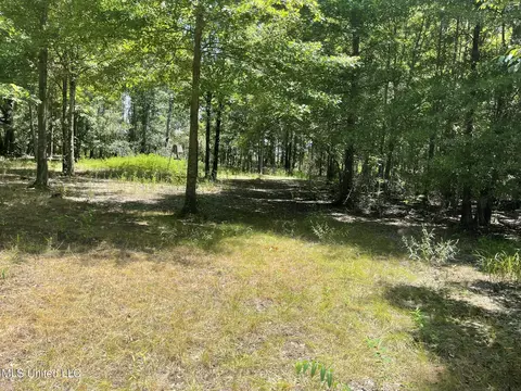 Hwy 442, Schlater, MS 38952 photo 20