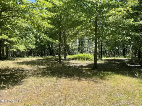 Hwy 442, Schlater, MS 38952 photo 18