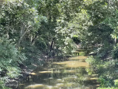 Hwy 442, Schlater, MS 38952 photo 22