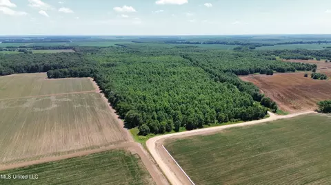 Hwy 442, Schlater, MS 38952 photo 3