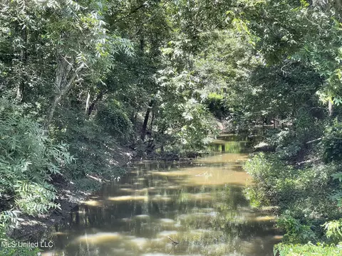 Hwy 442, Schlater, MS 38952 photo 23