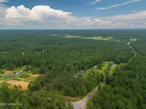 View/Area - 1425 E Mchenry Rd, Perkinston, MS 39573 photo 1 of 1