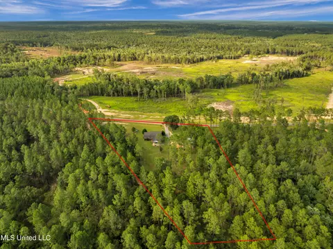 View/Area - 3287 Lloyd Eubanks Rd, Lucedale, MS 39452 photo 5 of 10