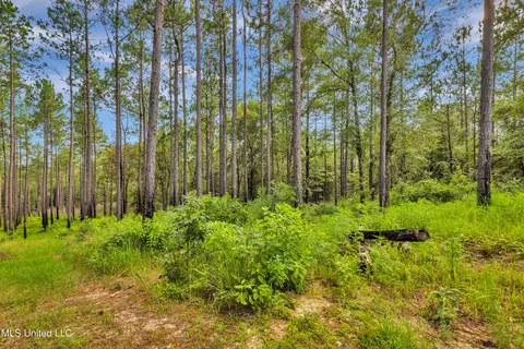 Other - 3287 Lloyd Eubanks Rd, Lucedale, MS 39452 photo 9 of 11