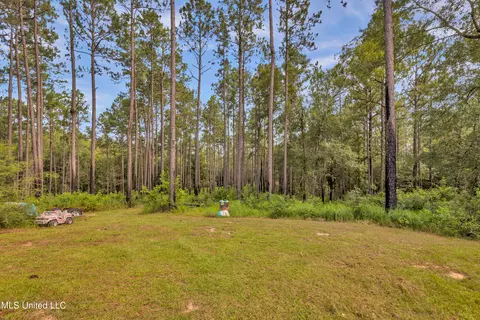 Exterior - 3287 Lloyd Eubanks Rd, Lucedale, MS 39452 photo 12 of 12