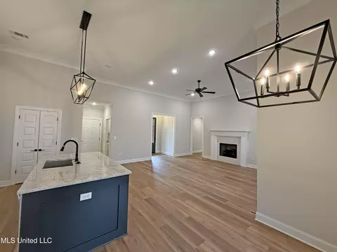 211 Wethersfield Dr, Florence, MS 39073 photo 5