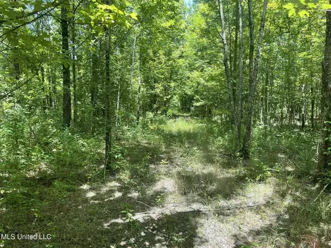 Hwy 8, Holcomb, MS 38940 photo 18