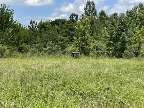 Hwy 8, Holcomb, MS 38940 photo 15