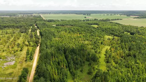 Hwy 8, Holcomb, MS 38940 photo 4