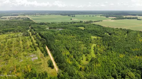 Hwy 8, Holcomb, MS 38940 photo 9