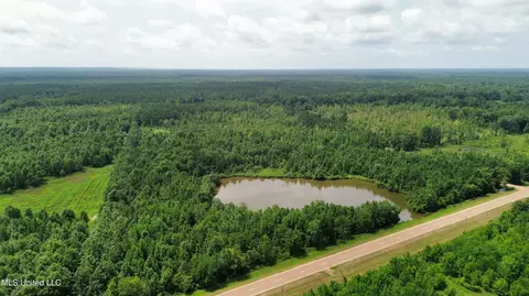 Hwy 8, Holcomb, MS 38940 photo 11