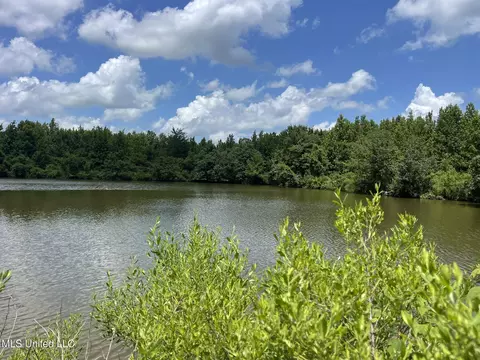Hwy 8, Holcomb, MS 38940 photo 21