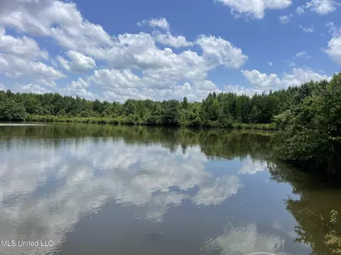 Hwy 8, Holcomb, MS 38940 photo 22