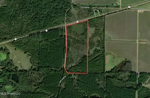 Hwy 8, Holcomb, MS 38940
