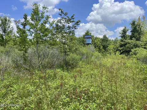 Hwy 8, Holcomb, MS 38940 photo 13