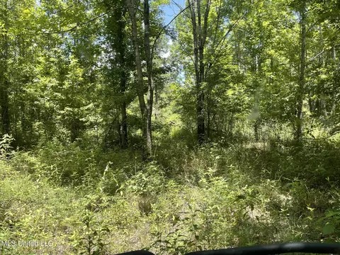 Hwy 8, Holcomb, MS 38940 photo 19
