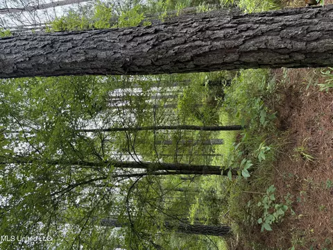 Lake Road, Duck Hill, MS 38925