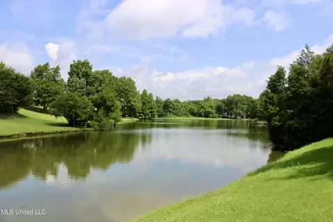 860 Cedar Grove Pkwy, Hernando, MS 38632 photo 54
