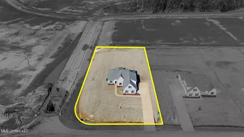 View/Area - 2545 Scott Meadows Ln, Hernando, MS 38632 photo 3 of 4