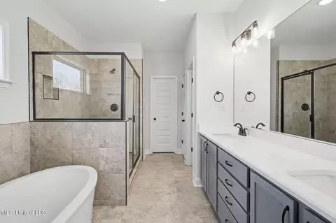 Bath - 2545 Scott Meadows Ln, Hernando, MS 38632 photo 1 of 4