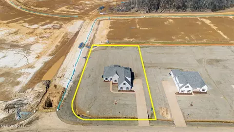View/Area - 2545 Scott Meadows Ln, Hernando, MS 38632 photo 2 of 4