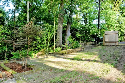3382 E Glen Gyle Rd, Hernando, MS 38632 photo 39