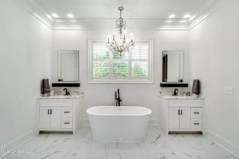 Bath - 215 Chestnut Spring Rd, Flora, MS 39071 photo 3 of 9