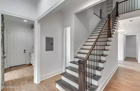 Entry Way - 215 Chestnut Spring Rd, Flora, MS 39071 photo 3 of 4