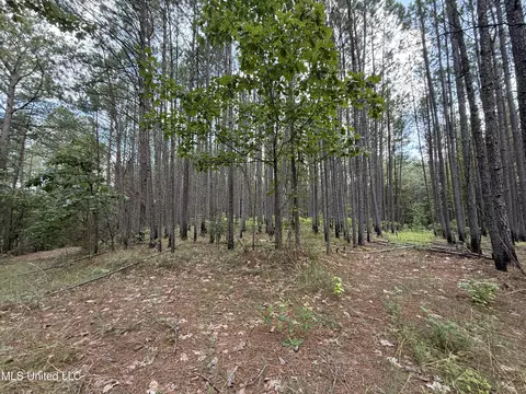County Road 5204, Ethel, MS 39067