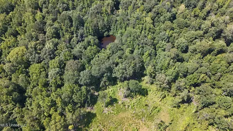 Pearson Road, Stewart, MS 39767 photo 29