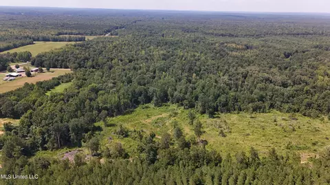 Pearson Road, Stewart, MS 39767 photo 25