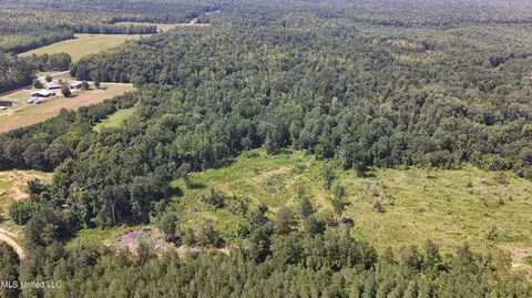 Pearson Road, Stewart, MS 39767 photo 26
