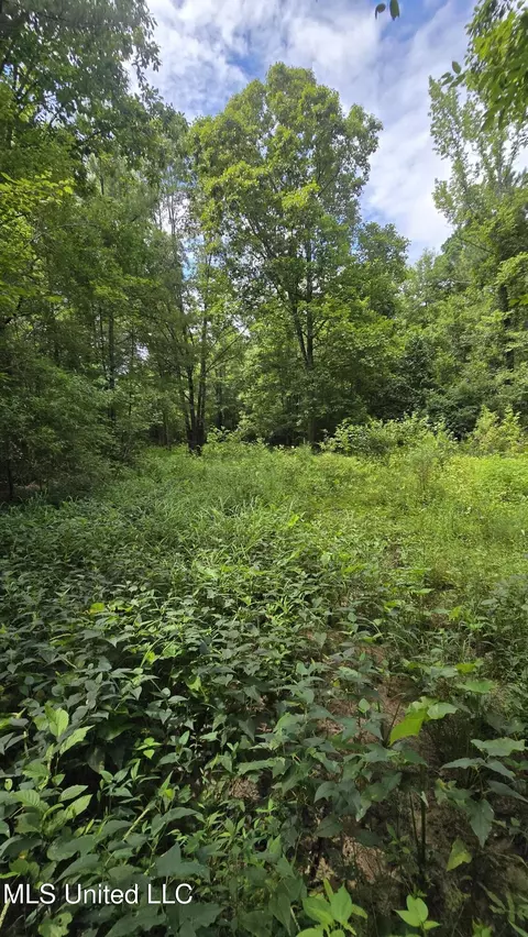 Pearson Road, Stewart, MS 39767 photo 20