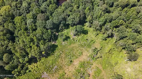 Pearson Road, Stewart, MS 39767 photo 28