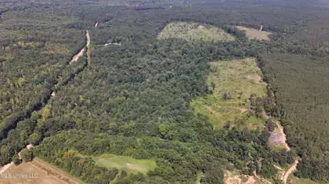 Pearson Road, Stewart, MS 39767 photo 33