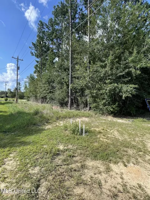 E Riverline Drive, Saucier, MS 39574 photo 2