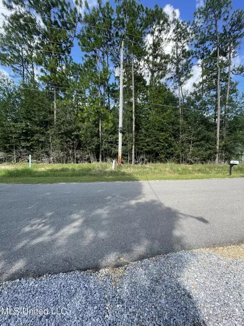 E Riverline Drive, Saucier, MS 39574 photo 3