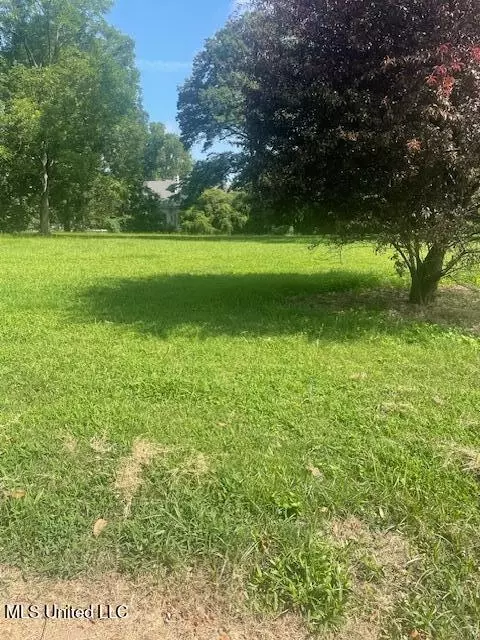 0000 Sycamore St, Como, MS 38619 photo 5