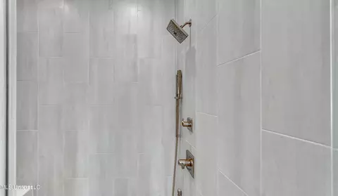 Bath - 466 Whittington Cir, Madison, MS 39110 photo 4 of 11