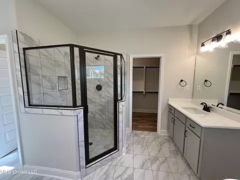 Bath - 2134 Scott Meadows Ln, Hernando, MS 38632 photo 3 of 3