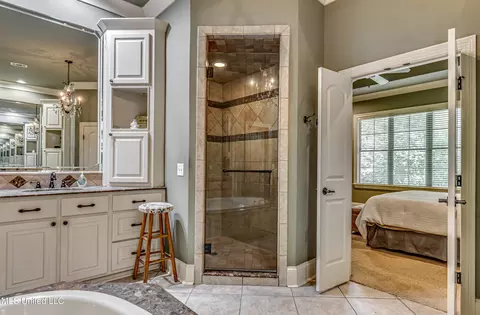 Bath - 215 Carmichael Blvd, Madison, MS 39110 photo 7 of 10