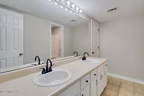 Bath - 110 Windchase Dr, Brandon, MS 39042 photo 1 of 3