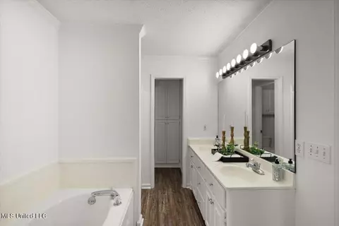 Bath - 204 Cherry Bark Dr, Brandon, MS 39047 photo 2 of 3